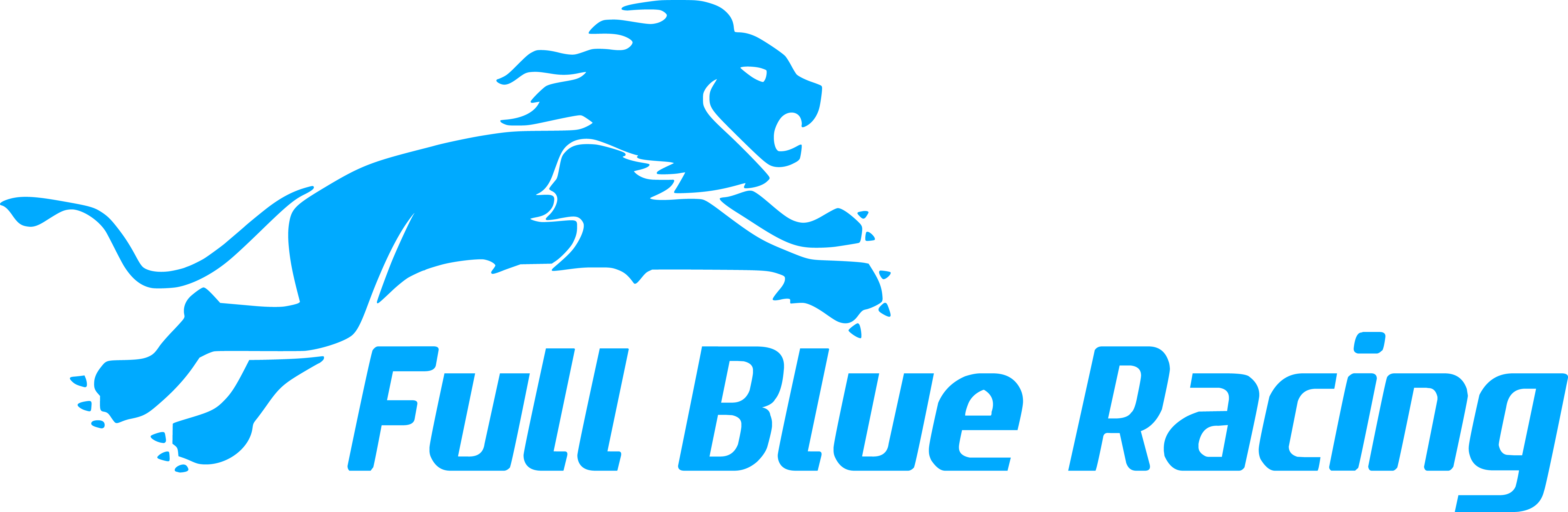 Full Blue Racing